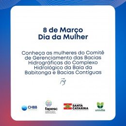 Dia das Mulheres - Conheça as mulheres que atuam no Comitê Babitonga